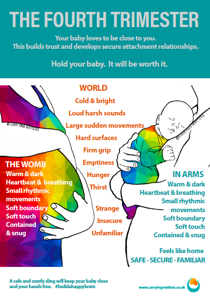 The concept of the fourth trimester refers to the first three months of a  newborn's life, during which they undergo significant develop